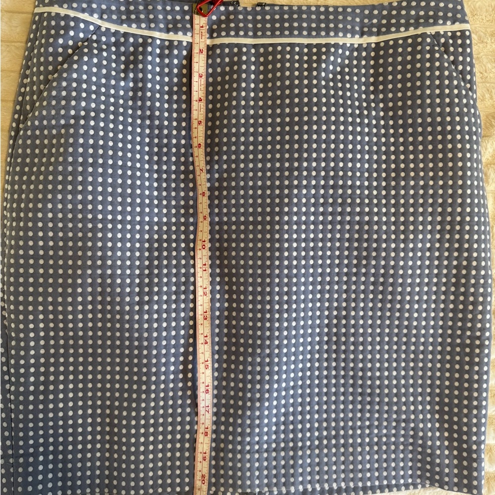 Polka Dot Blue Skirt